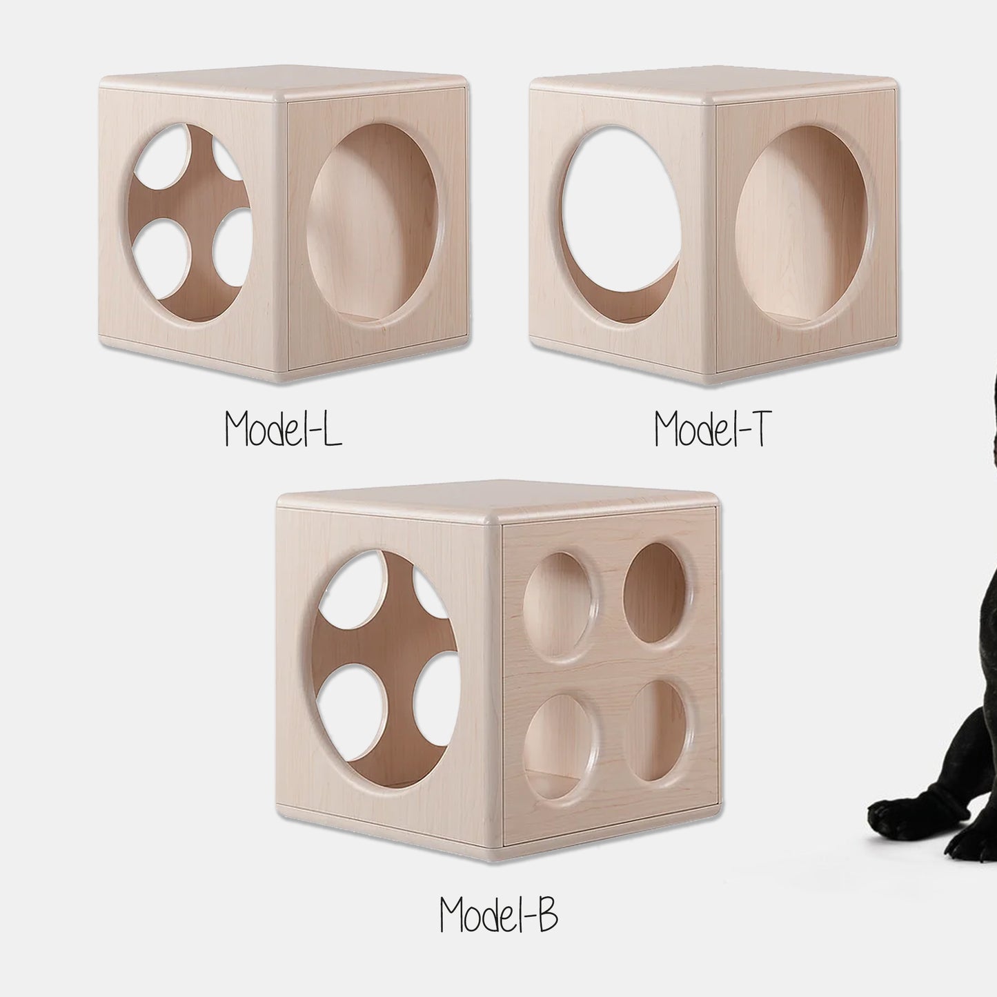 Smart Paw Cube