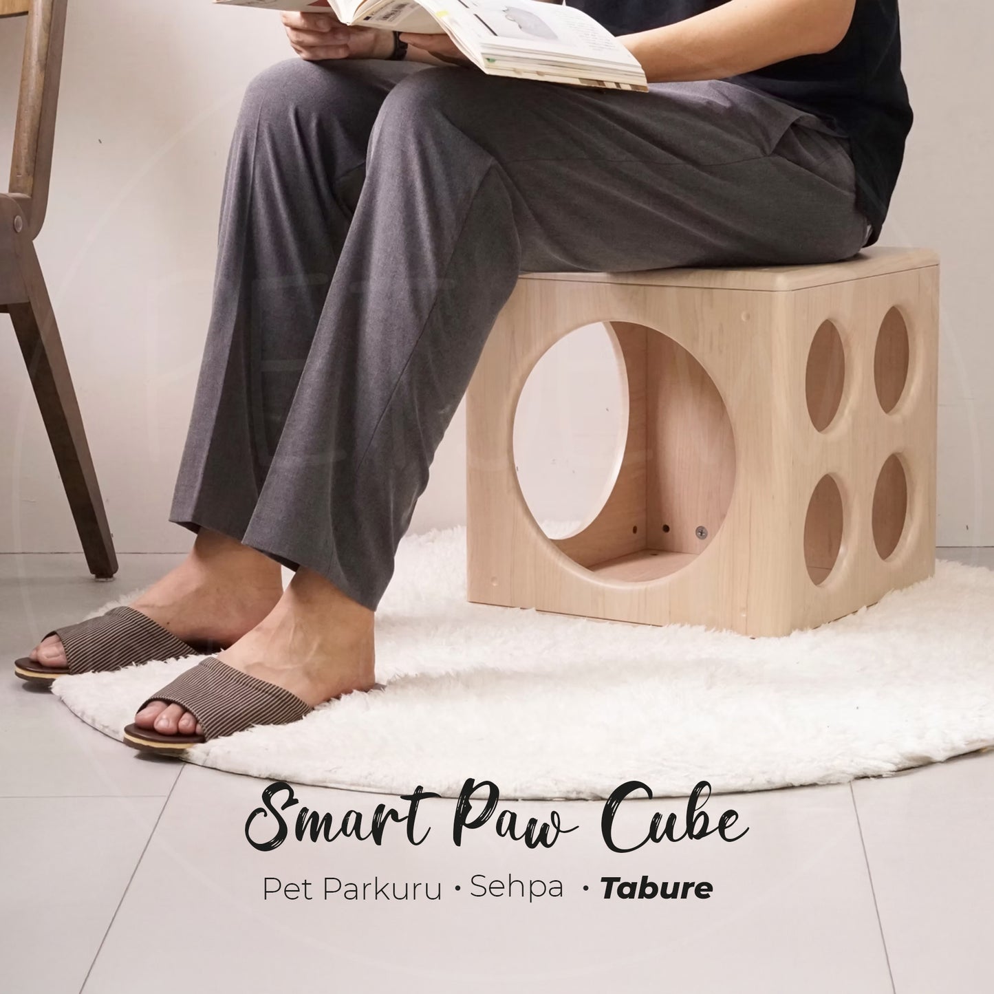 Smart Paw Cube