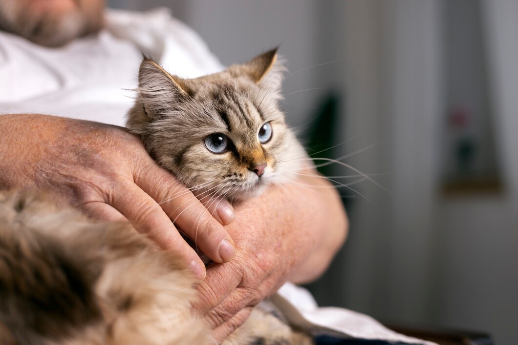 Kedi Parazitleri İçin Doğal ve Etkili Çözümler: Sağlıklı ve Mutlu Bir Kedi İçin 10 Doğal Öneri
