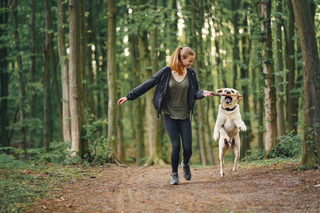 Köpek Bakımında Beslenme ve Dışarı Çıkarma Rehberi: Sağlıklı Bir Yaşam İçin Öneriler