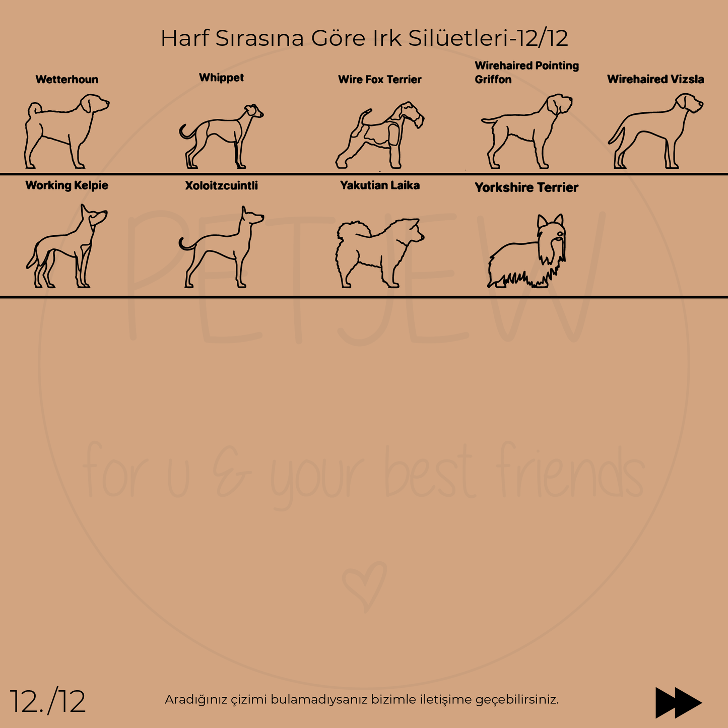 Köpek Silüeti Kolyesi - 925 Ayar Gümüş-petjew-kisiye-ozel-hatira-takilari