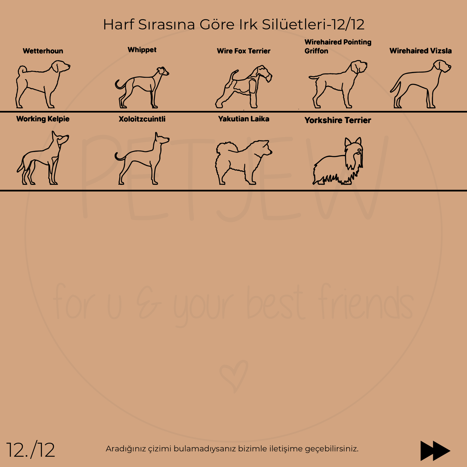 Köpek Silüeti Kolyesi - 925 Ayar Gümüş-petjew-kisiye-ozel-hatira-takilari