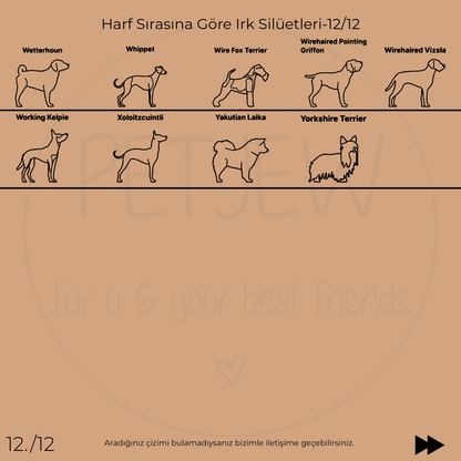 Köpek Silüeti Kolyesi - 925 Ayar Gümüş-petjew-kisiye-ozel-hatira-takilari