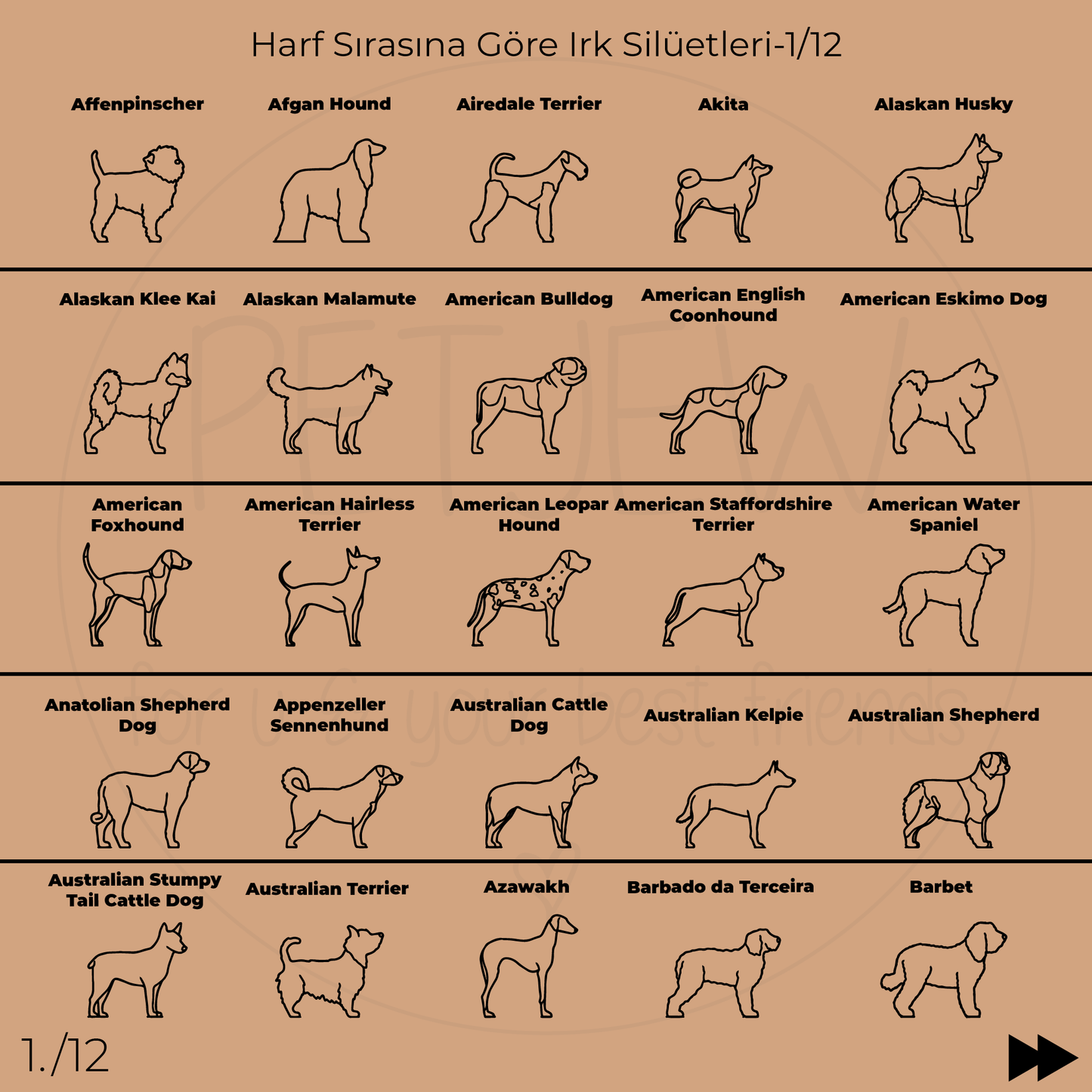 Köpek Silüeti Kolyesi - 925 Ayar Gümüş-petjew-kisiye-ozel-hatira-takilari