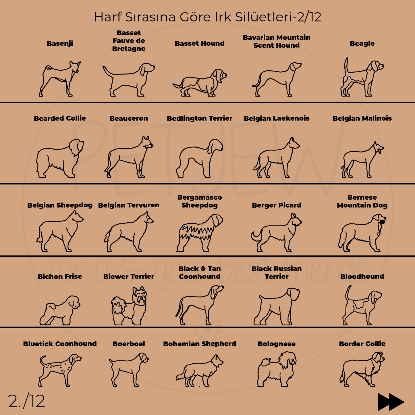 Köpek Silüeti Kolyesi - 925 Ayar Gümüş-petjew-kisiye-ozel-hatira-takilari