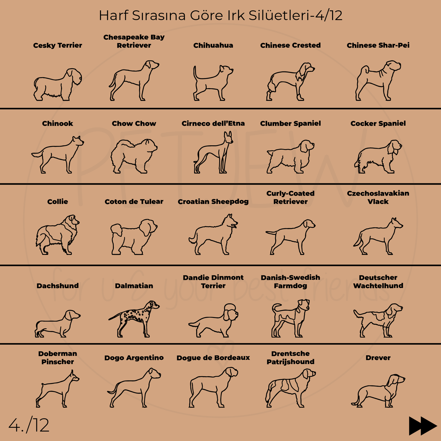 Köpek Silüeti Kolyesi - 925 Ayar Gümüş-petjew-kisiye-ozel-hatira-takilari