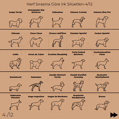 Köpek Silüeti Kolyesi - 925 Ayar Gümüş-petjew-kisiye-ozel-hatira-takilari