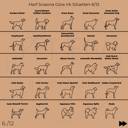 Köpek Silüeti Kolyesi - 925 Ayar Gümüş-petjew-kisiye-ozel-hatira-takilari