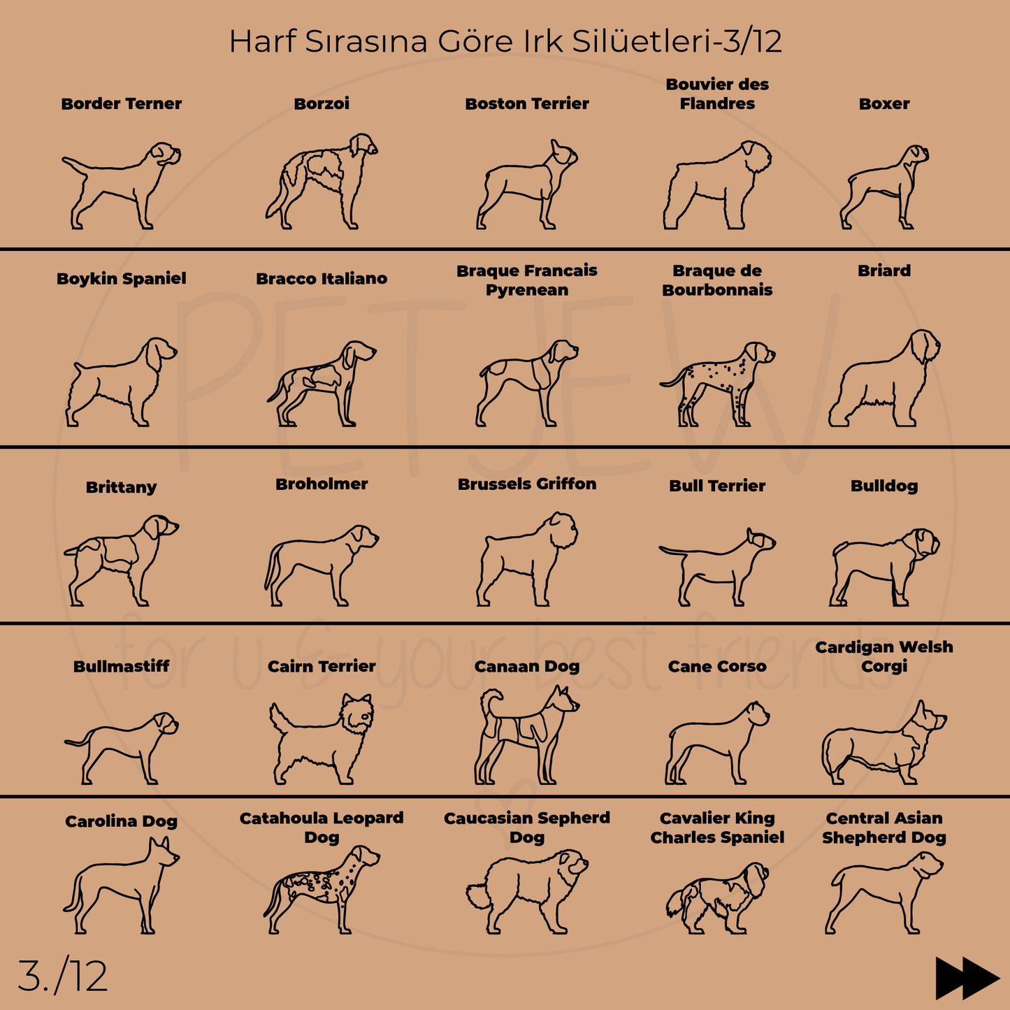 Köpek Silüeti Kolyesi - 925 Ayar Gümüş-petjew-kisiye-ozel-hatira-takilari