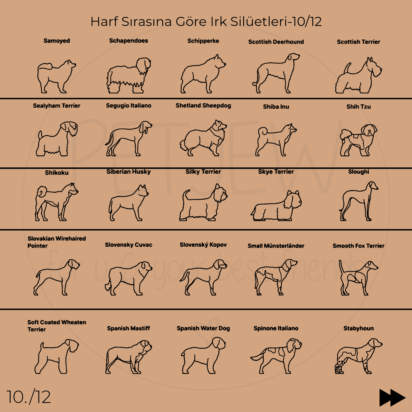 Köpek Silüeti Kolyesi - 925 Ayar Gümüş-petjew-kisiye-ozel-hatira-takilari