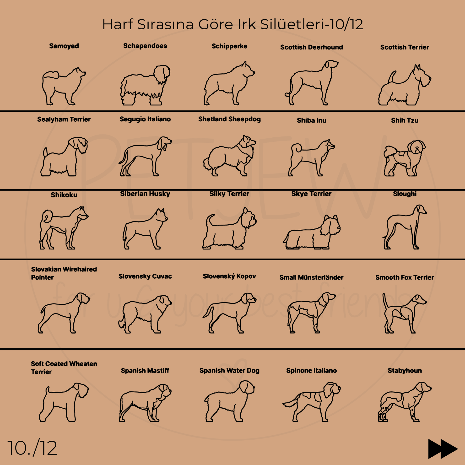 Köpek Silüeti Kolyesi - 925 Ayar Gümüş-petjew-kisiye-ozel-hatira-takilari