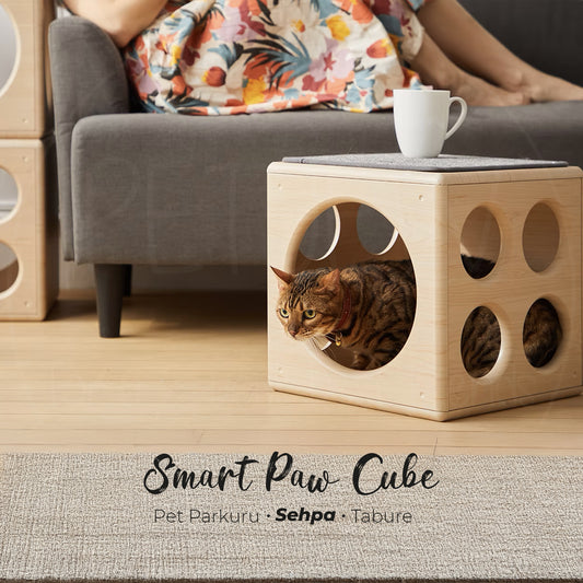 Smart Paw Cube-petjew-kisiye-ozel-hatira-takilari