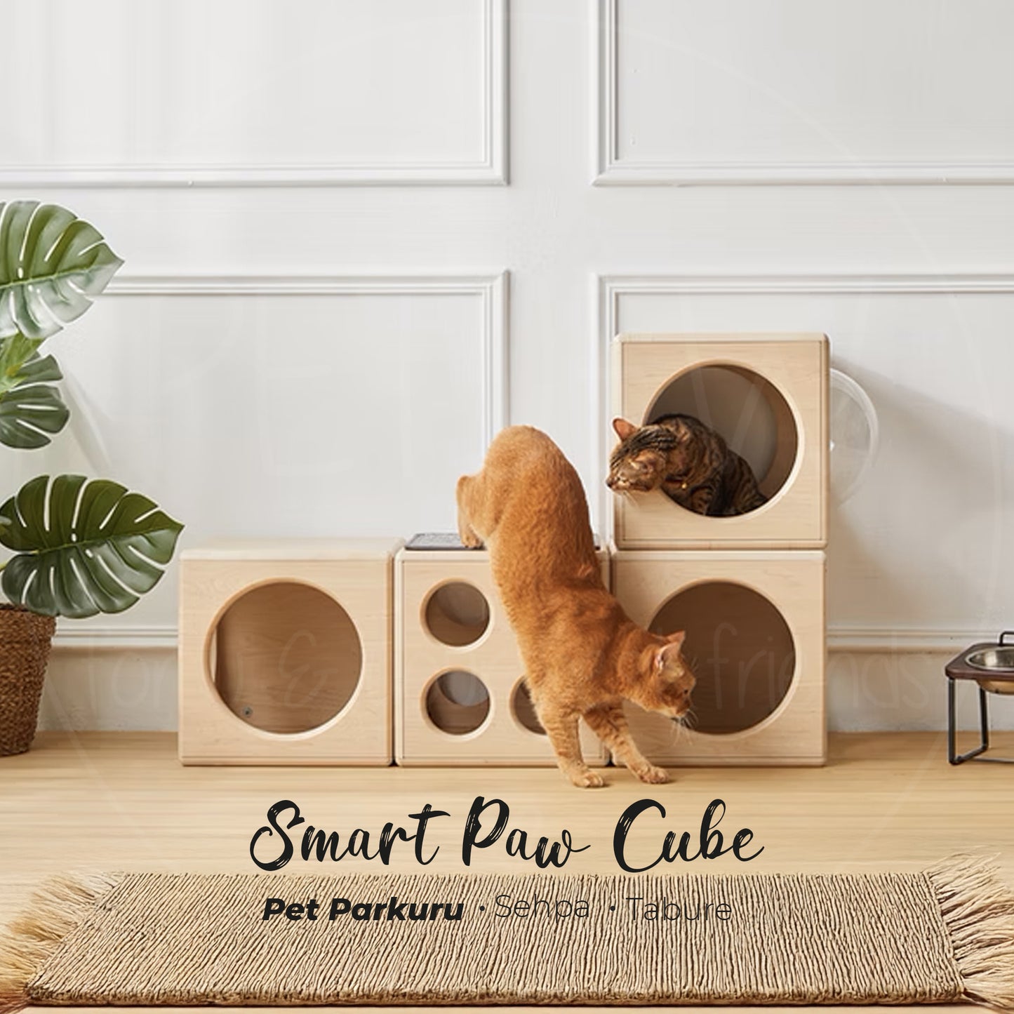 Smart Paw Cube-petjew-kisiye-ozel-hatira-takilari