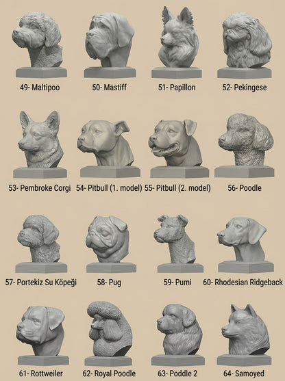 Köpek Irkları Büstü - Ultra Gerçekçi Köpek Heykelleri