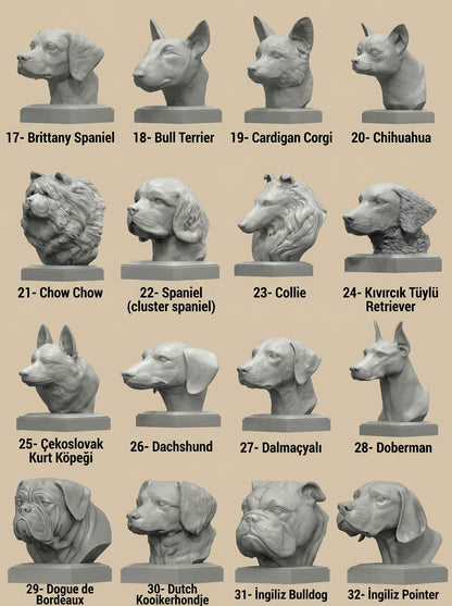 Köpek Irkları Büstü - Ultra Gerçekçi Köpek Heykelleri