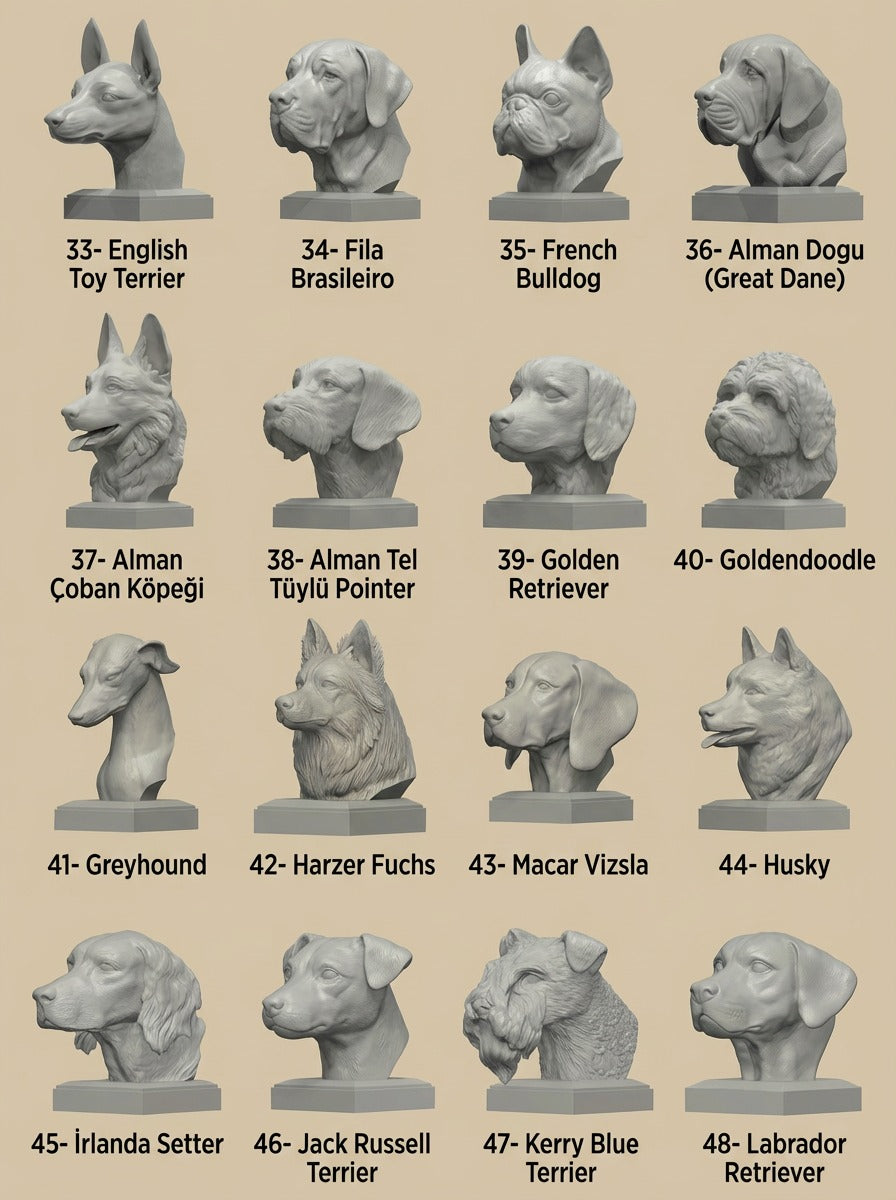Köpek Irkları Büstü - Ultra Gerçekçi Köpek Heykelleri