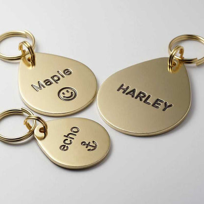 Damla Model Evcil Hayvan İsimlik | Kedi ve Köpek Künyesi-petjew-kisiye-ozel-hatira-takilari