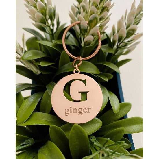 Harf İsimlik | Kedi ve Köpek Künyesi-petjew-kisiye-ozel-hatira-takilari